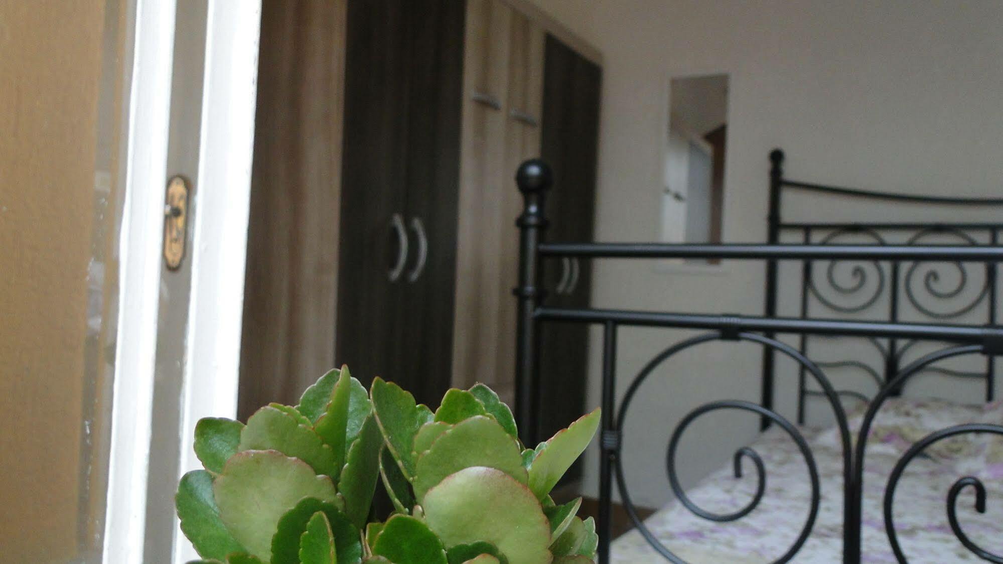 Today Hostel เซาเปาโล ภายนอก รูปภาพ